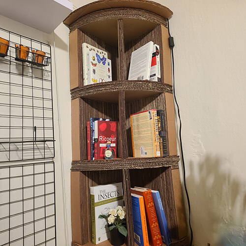 Cardboard Bookcase